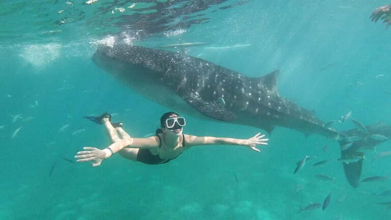 Oslob: Whale Shark Tour with Sumilon & Moalboal Snorkeling - Weighing the Value