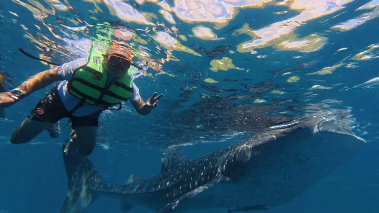 Oslob: Whale Shark Watching Private tour - Logistics and Practical Details