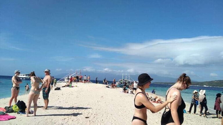 Oslob: Whaleshark Swimming, Tumalog Falls & Sumilon Island - In-Depth Look at the Oslob Tour Experience