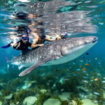 Oslob whaleshark watching & Tumalog falls & sardines run - Tumalog Falls: The Waterfall Wonder