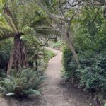 Otago Peninsula's Hidden Gems: A Self Guided Driving Tour - Who will love this experience?