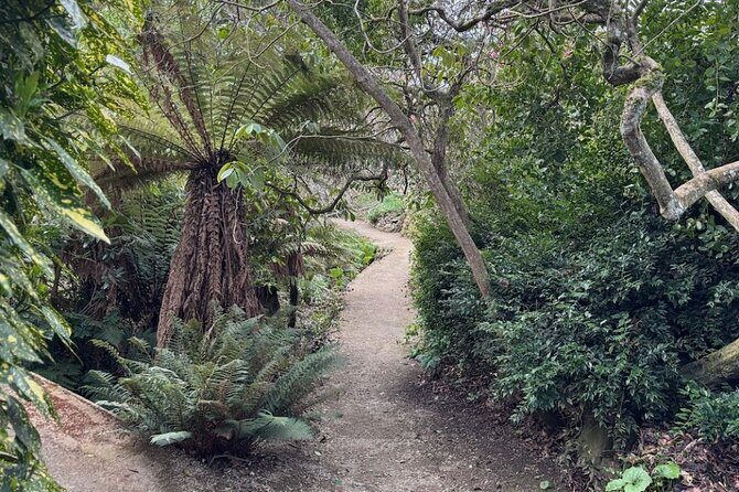 Otago Peninsula's Hidden Gems: A Self Guided Driving Tour - Who will love this experience?  
