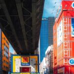 Otaku Tokyo Tour: Akihabara and Nakano Broadway - Nakano Broadway: Vintage Meets Modern