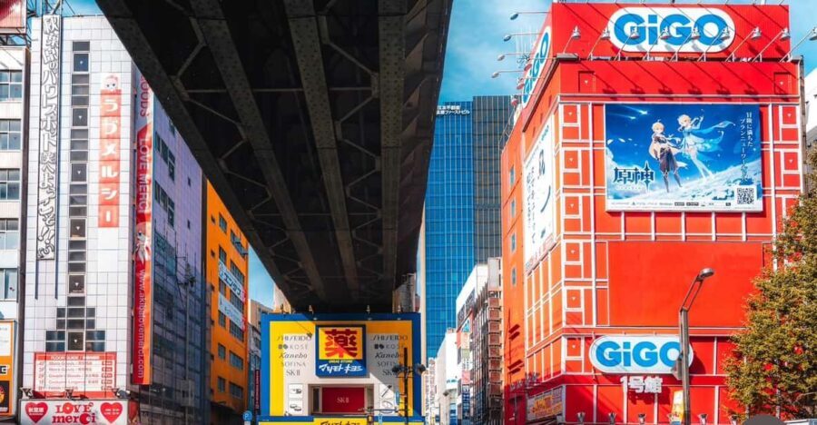 Otaku Tokyo Tour: Akihabara and Nakano Broadway - Nakano Broadway: Vintage Meets Modern