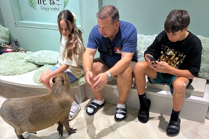 Otaku Tour in Akihabara - Who Should Consider This Tour?