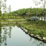 Outdoor Fun in Shanghai: Dongping Park Entry for 2-Person - The Value of This Experience