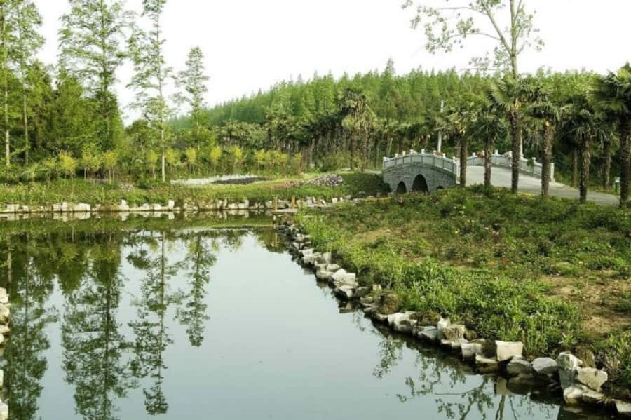 Outdoor Fun in Shanghai: Dongping Park Entry for 2-Person - The Value of This Experience