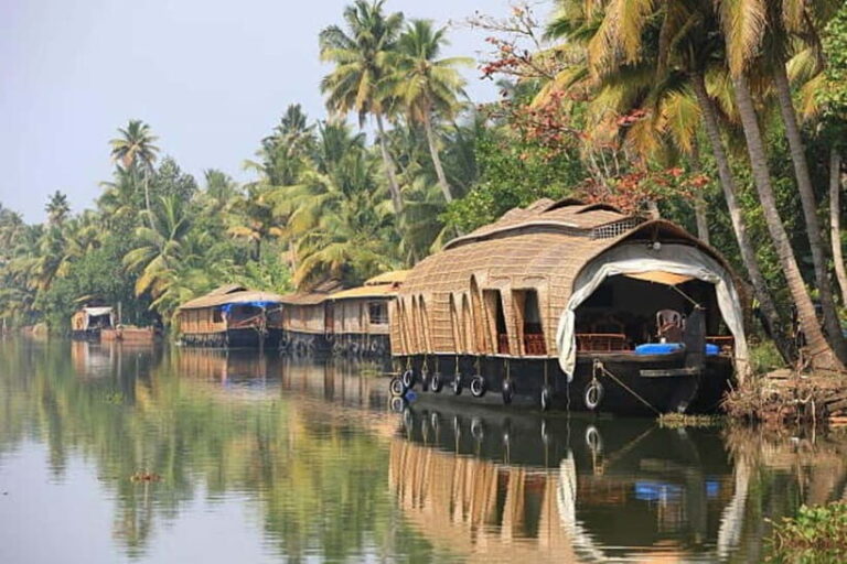 Overnight Alleppey Houseboat Cruise Tour (Kerala Beauty) - Is This Tour Worth It?