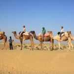 Overnight Camel Safari - Authentic Experiences and Unique Highlights