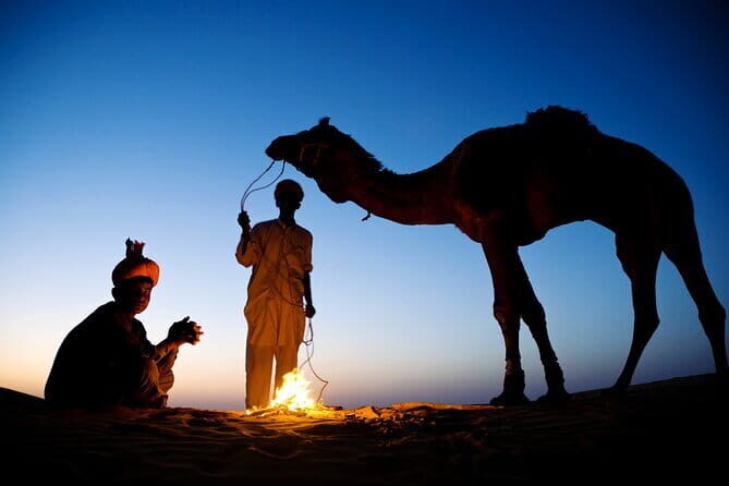 Overnight Camel Safari Tour - The Complete Breakdown of the Tour