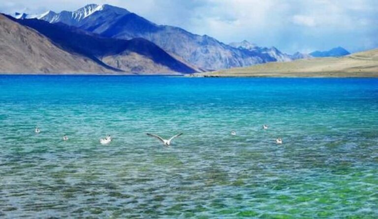 Overnight Pangong Tour From Leh With Thiksey & Shey Palace - Why This Tour Offers Great Value