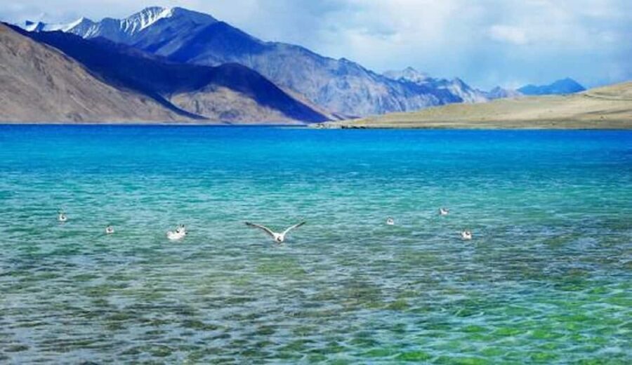 Overnight Pangong Tour From Leh With Thiksey & Shey Palace - Why This Tour Offers Great Value