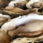 [Oysters in Suto] Let's go to Cape Kamui, Oyster Hut and Fukidashi Park by private car!To/from Sapporo - Authentic Experiences and Tips