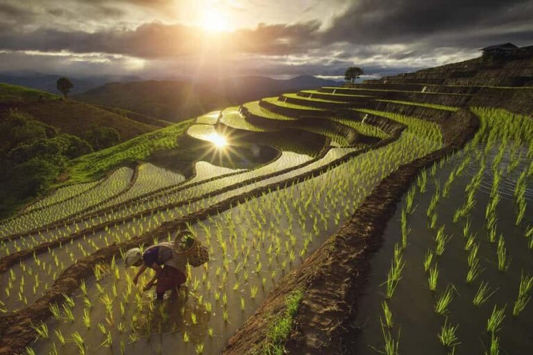 Pa Pong Piang - Why This Tour Offers Real Value