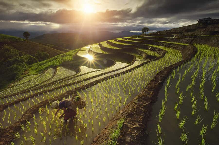 Pa Pong Piang - Why This Tour Offers Real Value