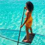 Paddle Through Paradise on a Transparent Paddleboard. - The Practicalities: What You Need to Know