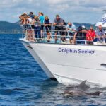 Paihia/Russell: Hole in the Rock, Dolphins & Island Cruise - The Value Proposition