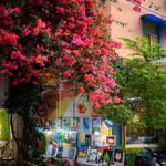 Paint & Explore: Shenzhen Dafen Oil Painting Village 3H Tour - The Artistic Workshop: Creating Your Own Oil Painting