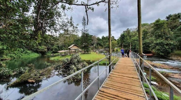 Pakse: Visit Bolaven Plateau+Tad Fane & Tad Yuang Waterfalls - Connecting with Local Villages