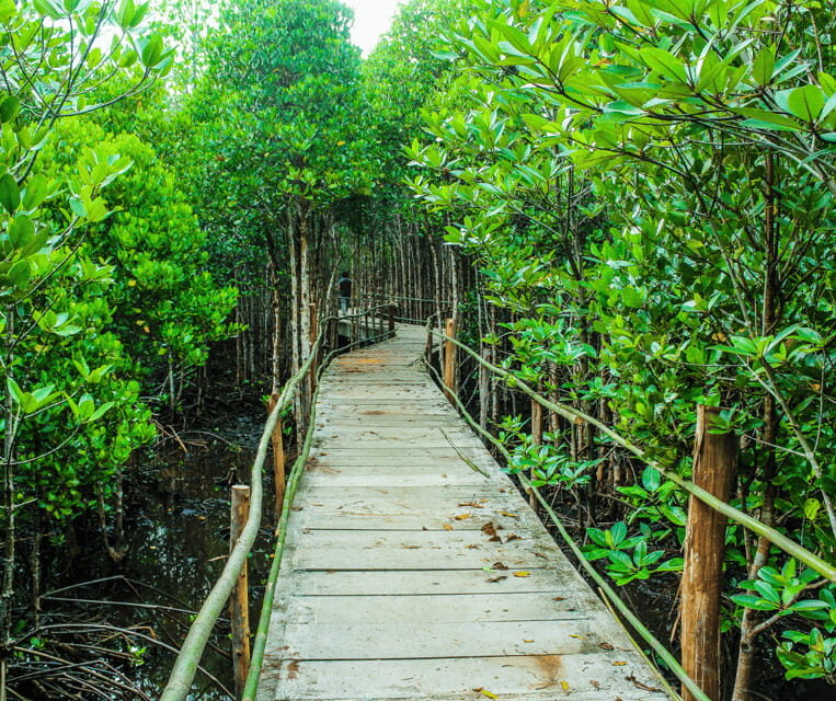 PALAWAN: El Nido Fishing Tour with Local Fishermen PRIVATE - Authentic, Supportive, and Relaxing