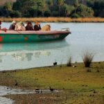 Palighat Chambal Crocodile Boat Safari - Practical Considerations