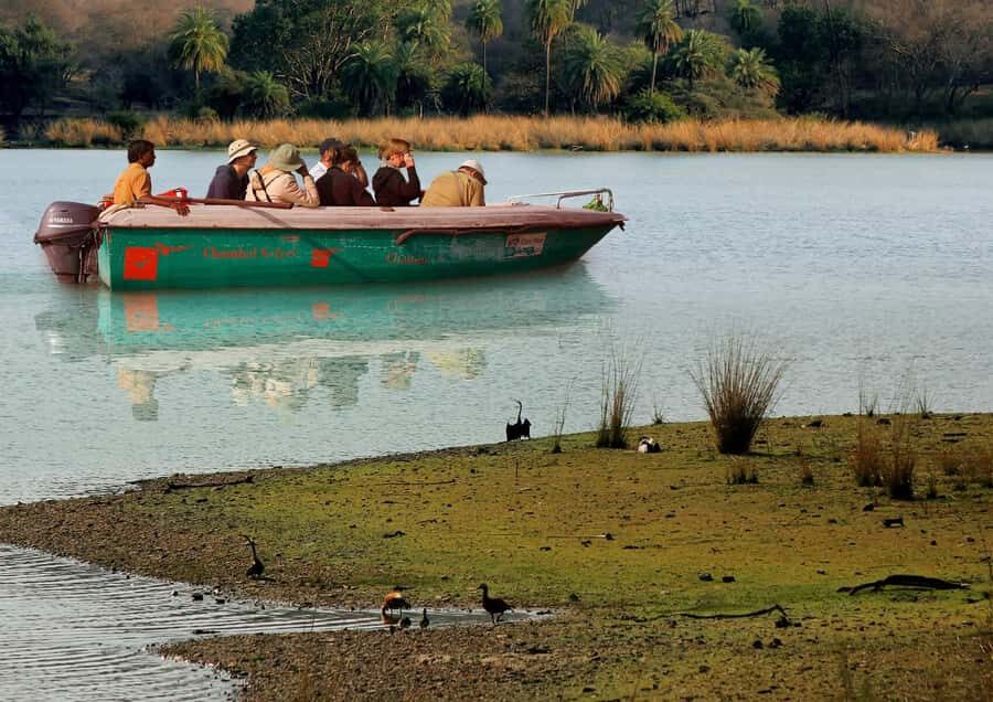 Palighat Chambal Crocodile Boat Safari - Practical Considerations