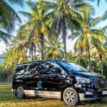 Palm Cove to Port Douglas ONE WAY Private Transfer 6 pax - What Could Be Better