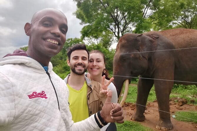 Paradise Ella Day/OneWay Tourvisit or without(Udawalawe/Yala)Tour - FAQs