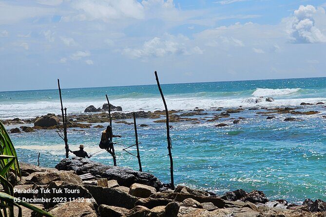 Paradise Galle Day Tours - Real-World Insights from Reviewers