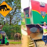 Paradise Sigiriya,Kandy,Nuwara eliya,Ella(Udawalawe/Yala)Tours - The Sum Up: Why Choose This Tour?