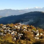 Pattale Danda View of Mount Everest and Touring of Rural Villages - What Makes This Tour Stand Out?