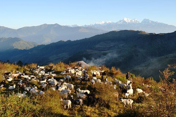 Pattale Danda View of Mount Everest and Touring of Rural Villages - What Makes This Tour Stand Out?