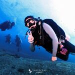 Pattaya: Fun Dive 2 Ocean Dives and Lunch (Certified Diver) - The Itinerary: What to Expect
