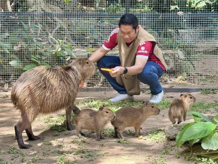 Pattaya: Khao Kheow Zoo & J-Park Japanese Village Day Trip - Who Will Love This Tour?