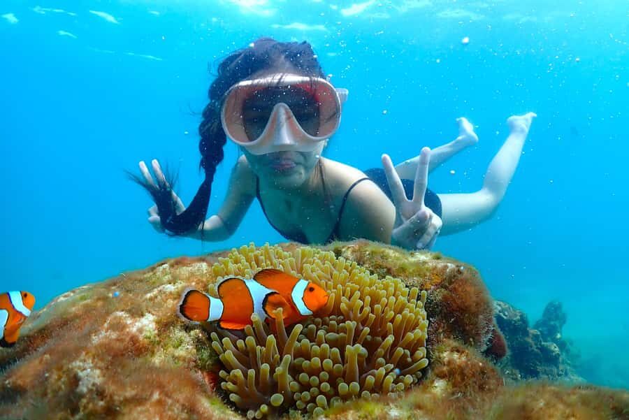 Pattaya: Private Speedboat Nemo Island with Snorkel & BBQ - Authentic Experiences & Genuine Feedback