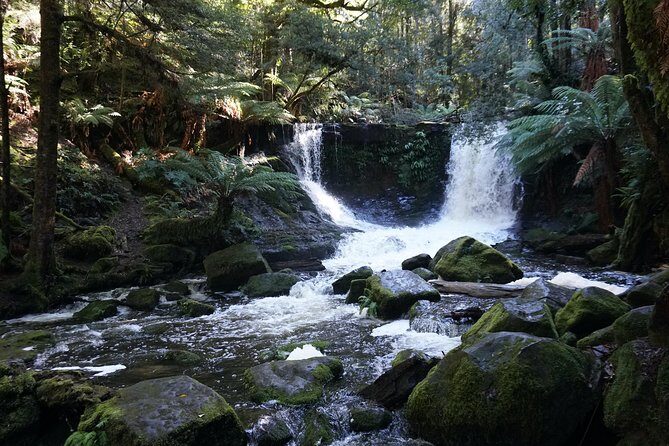 Peaks, Falls & Furry Locals: Mt. Field & the Derwent - Wildlife Encounters at Bonorong Sanctuary