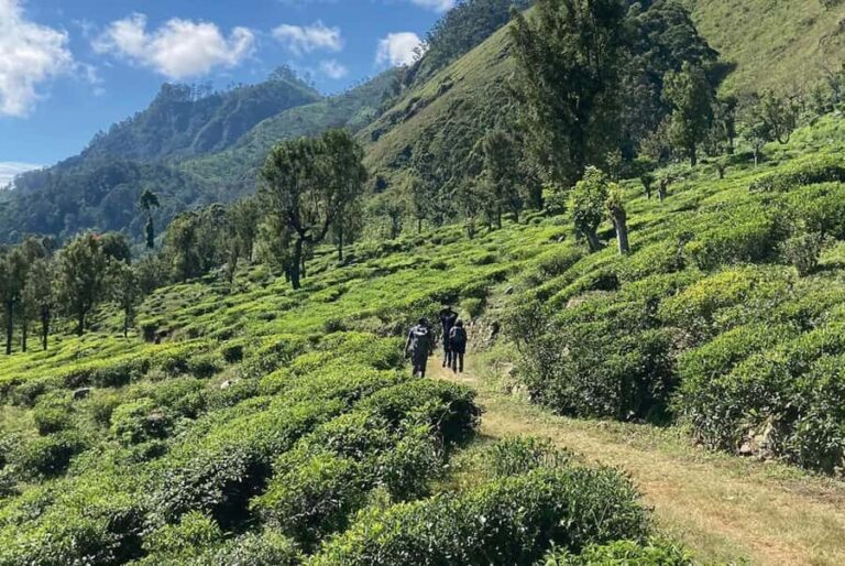 Pekoe Trail 18-22: Guided 7 Day Trail with Hotels &Transfers - Who Is This Tour Best Suited For?