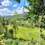 Pekoe Trail Stage 4 Guided Hike (Tawalantenne-Pundaluoya) - Why This Tour Is a Great Value