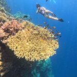 Pemuteran Bali: Menjangan Island Snorkeling Trip with Lunch - The Itinerary Breakdown: What to Expect