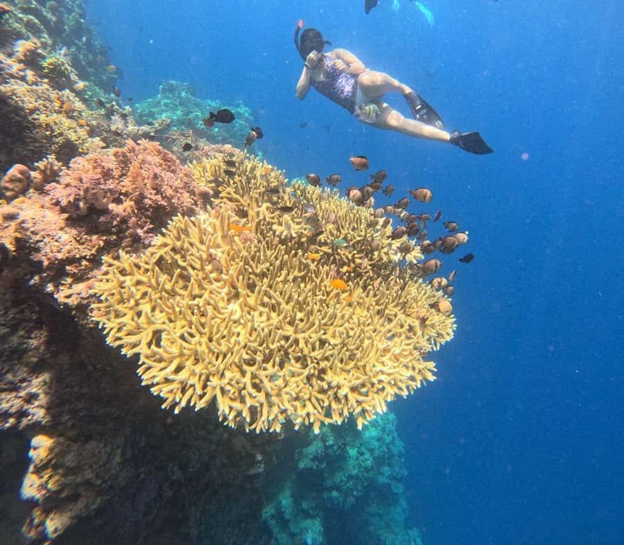 Pemuteran Bali: Menjangan Island Snorkeling Trip with Lunch - The Itinerary Breakdown: What to Expect