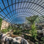 Penang City and Entopia Butterfly Farm Tour - Practical Details and What You Need to Know