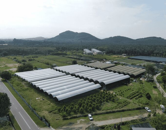 Penang: The Vanilla Village Farm Tour by Kairos - The Itinerary Breakdown