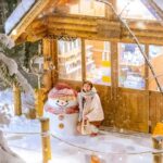 Penguin Fun & Snowmobile : Sapporo Winter (Asahiyama Zoo) - Practical Details & Tips