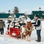 Penguins, Countryside & Fairytale VillageSapporo Day Trip - Who This Tour Is Perfect For