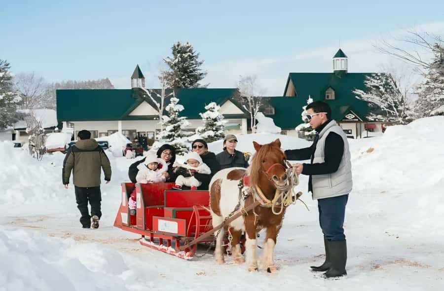 Penguins, Countryside & Fairytale VillageSapporo Day Trip - Who This Tour Is Perfect For