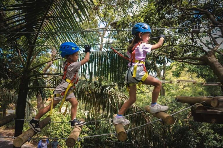 Pennant Hills: Junior Tree Ropes Course - Why This Experience Works Well