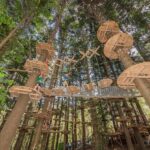 Pennant Hills: Tree Ropes Course Session - What Reviewers Are Saying