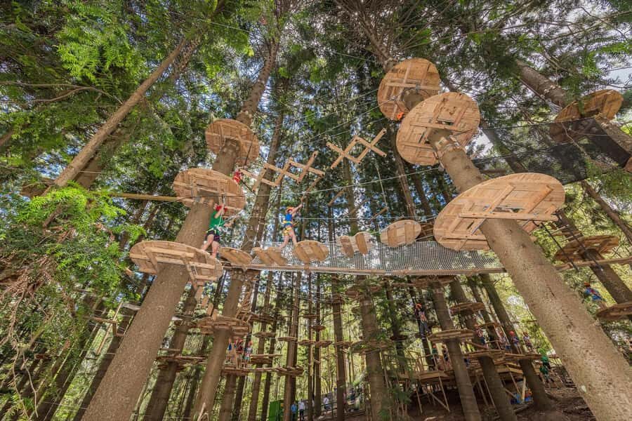 Pennant Hills: Tree Ropes Course Session - What Reviewers Are Saying