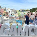 Perfect Private Busan Tour for Families, Couples, Friends, Solo - Who Would Love This Tour?