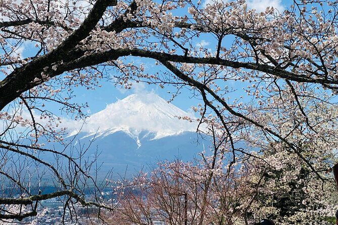 Personalized Mount Fuji Experience Customizable Full Day Trip - Frequently Asked Questions